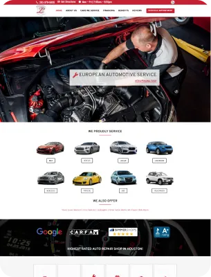 Professional website design project example