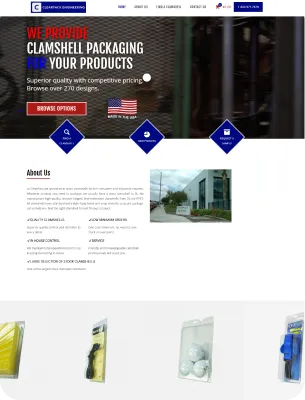 Custom web design project showcase